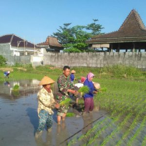 IMG-20180601-WA0056