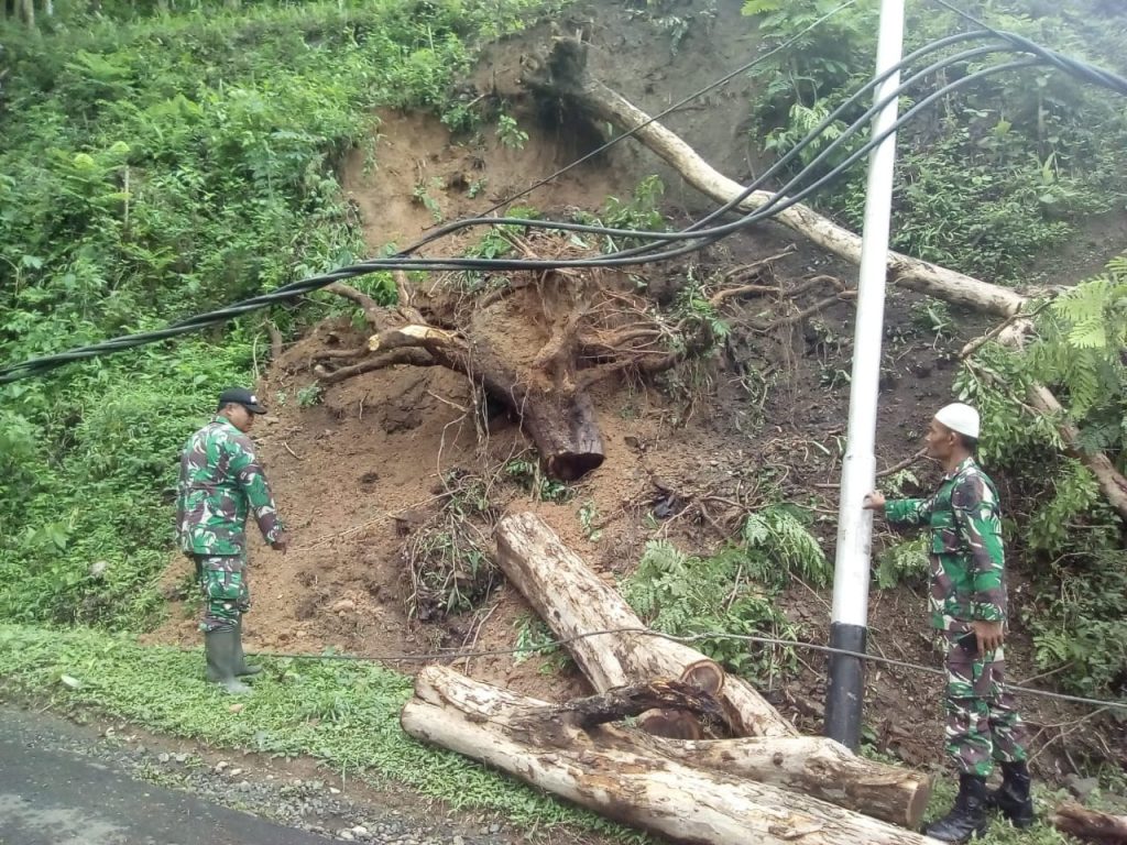 Gerak Cepat TNI Dan Petugas PLN Singkirkan Pohon Dan Tiang Listrik Tumbang