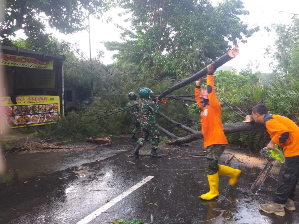 Dengan Sigap Dan Cekatan  TNI Bersama Warga Gotong Royong vakuasi Pohon Tumbang