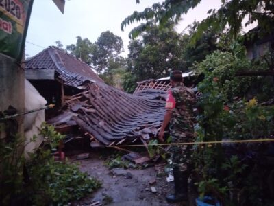 IMG-20221203-WA0011