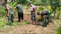 IMG-20240117-WA0010