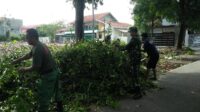 IMG-20240118-WA0010