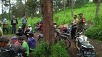 IMG-20250131-WA0042