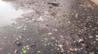 IMG-20251008-WA0000