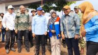Kolaborasi BRIN, PT Perusahaan Gas Negara (PGN), dan Pemerintah Kabupaten Batang berhasil memanen sekitar 166,5 ton gabah kering panen (GKP) dari budidaya Padi Biosalin.
